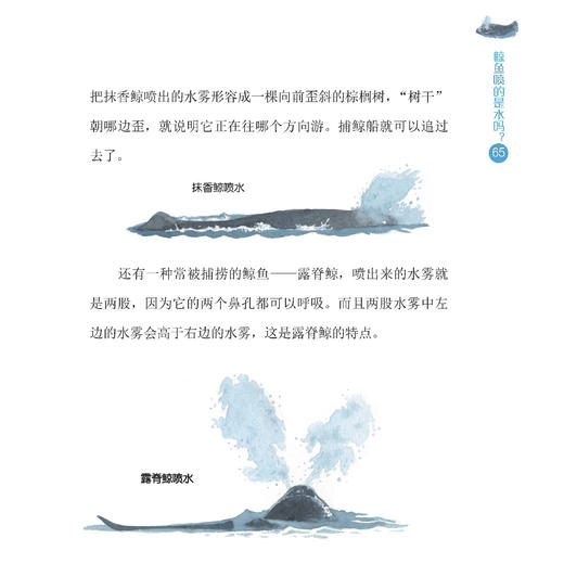 《小亮老师的博物课》（全6册） 商品图11