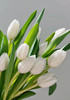 【周四秒杀】进口白色郁金香10支59.8元 商品缩略图0