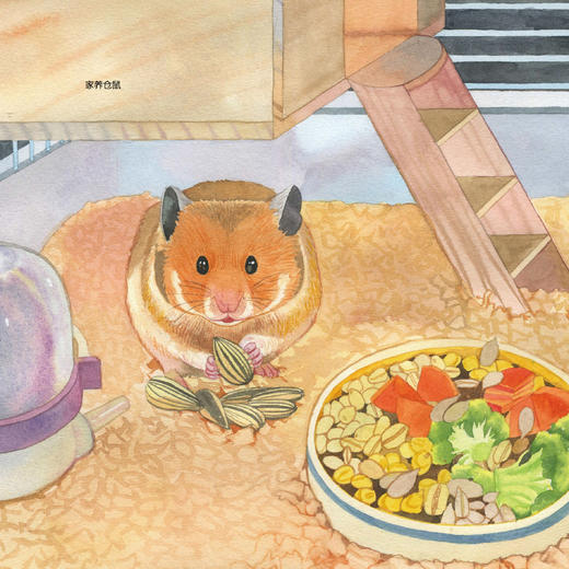 《小亮老师的博物课》（全6册）注音版 商品图14