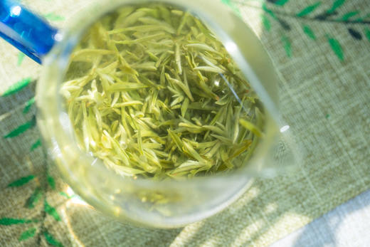 【2026东山碧螺春】中国十大名茶 洞庭碧螺春 绒毛遍布，口感清甜，花果香 产自苏州太湖东山 商品图10