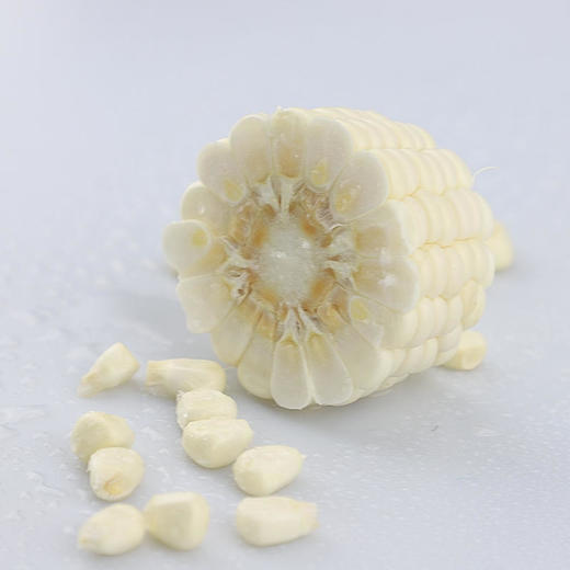 老品种鲜白糯玉米  纯糯微甜  香甜可口，吃起糯糯的感觉， 给你不一样的美食体验！ 商品图4