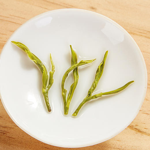 象窝茶鸿志春绿礼盒装绿茶高山云雾新兴特产 绿茶礼盒装 5g * 36袋 180g 商品图12