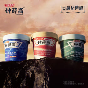 钟薛高新品山河杯巧克力碎碎醇奶香椰香小粒咖啡冰淇淋9杯装