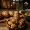 生态土豆 （广东）| 合作生产 * Eco-potato | Coproduction 商品缩略图4