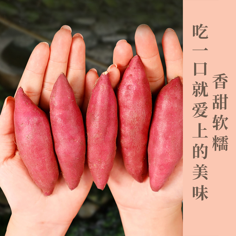 天目山小香薯的美  更多的体现在它的口感， 这是最直观的味蕾感受，香气扑鼻，耐人寻味，香甜软糯粉，蒸煮烤炸，百变美味  更适合蒸  甘甜爽糯！