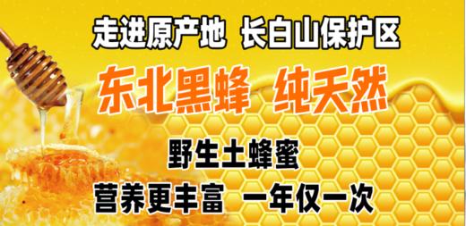 VZ长白山纯天然野生蜂蜜超值组 商品图0