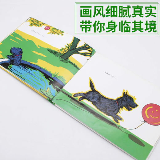 【童立方】顽皮狗安格斯系列：安格斯和猫3-4-5-6周岁儿童绘本故事书 商品图3