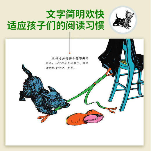 【童立方】顽皮狗安格斯系列：安格斯和猫3-4-5-6周岁儿童绘本故事书 商品图2