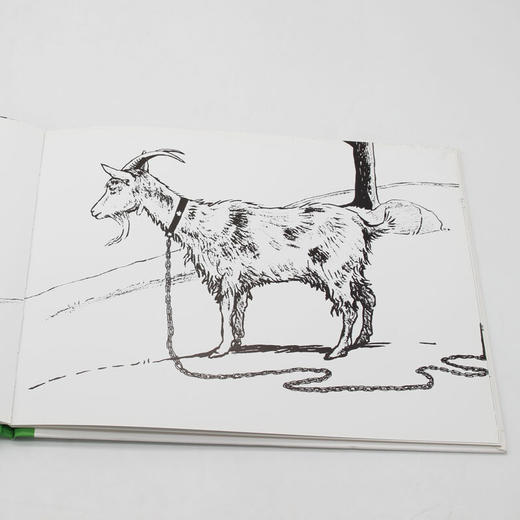 【童立方】顽皮狗安格斯系列：安格斯迷路了 3-6岁精装绘本图画书 商品图2