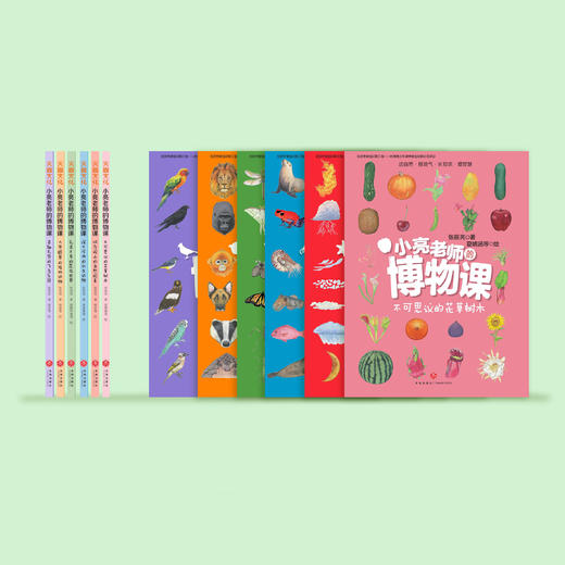 《小亮老师的博物课》（全6册） 商品图2