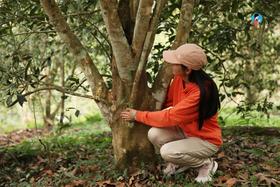 2023年第8季茶山行｜日记4：连滚带爬，冒着生命危险入百花潭