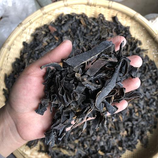 昆布 商品图1