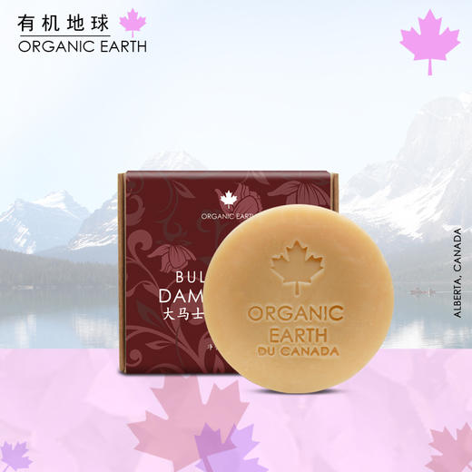 【20250414】有机地球圆皂福利 商品图0