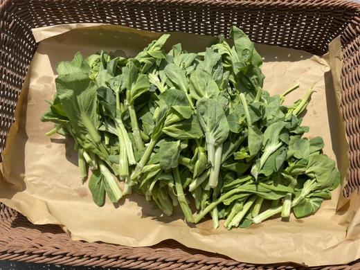 社区团购【小菜园露天种植】菜苔500g 商品图1