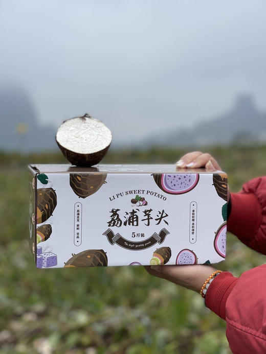 广西桂林 荔浦芋头 5斤礼盒 顺丰 商品图2