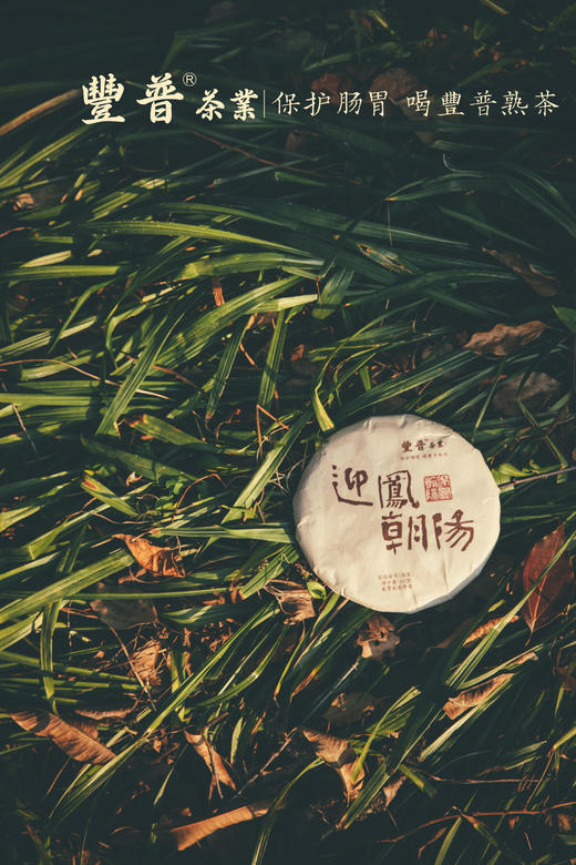 2023迎凤朝阳 熟茶 357克 /饼 商品图2