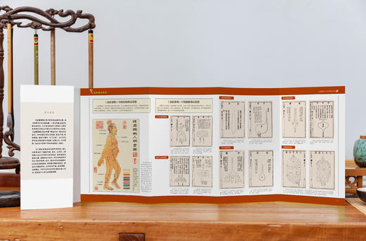 白话版：图解金匮要略   张仲景著，王羽嘉编著 商品图5