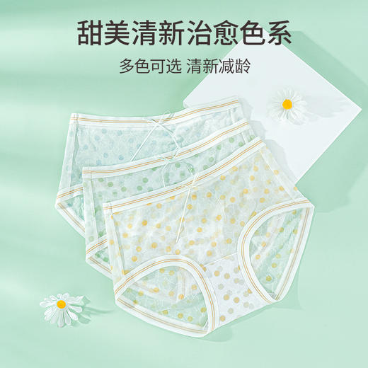 雅黛丽内裤女薄款清爽透气网纱短裤印花中腰三角裤夏季 商品图4