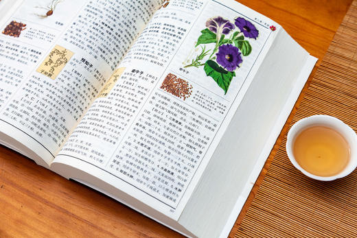 白话版：图解本草纲目 商品图10
