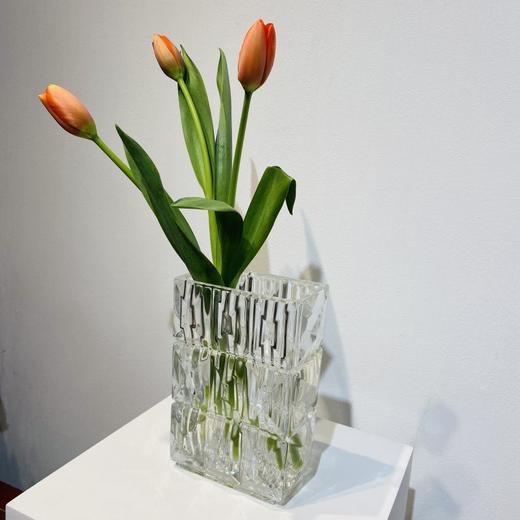 方形玻璃花瓶 1个（仅花瓶） 商品图2