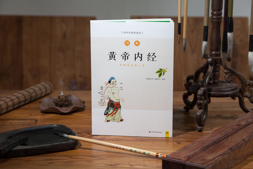 白话版：图解黄帝内经 商品图3