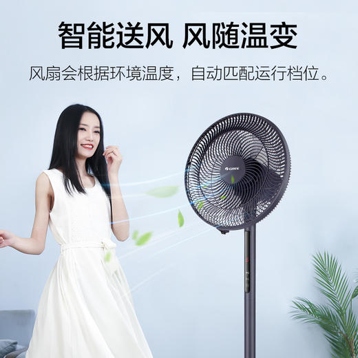 GREE 格力 6档风速 台地两用 智能感温 落地扇 FD-35X66Bh7 极光紫 商品图6