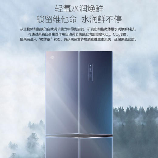 GREE格力 晶弘冰箱 BCD-516WPQG/奇域紫 十字对开门 516L 变频 -33℃深冻保鲜 -5℃细胞级凝鲜 商品图3