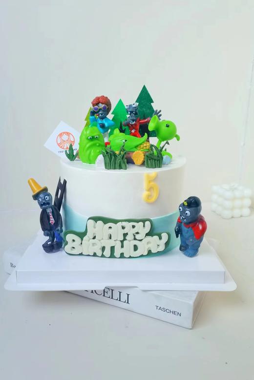 【三款 植物大战僵尸（岁数可加可改请备注） 商品图0