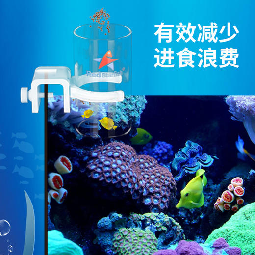 红海星喂食圈，挂钩拉筋两用 商品图5