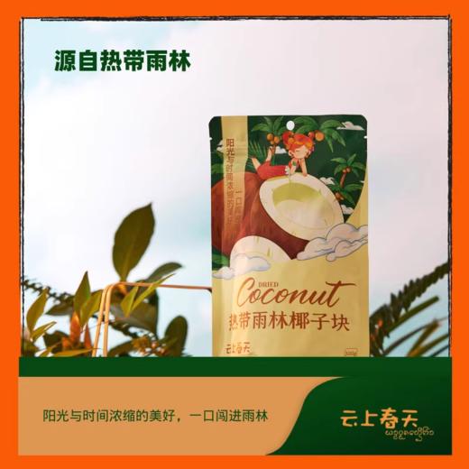 云上春天热带雨林椰子块100g/袋*2袋 商品图3