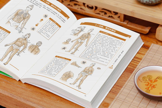 白话版：图解金匮要略   张仲景著，王羽嘉编著 商品图8