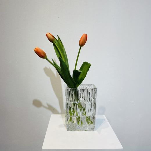 方形玻璃花瓶 1个（仅花瓶） 商品图1