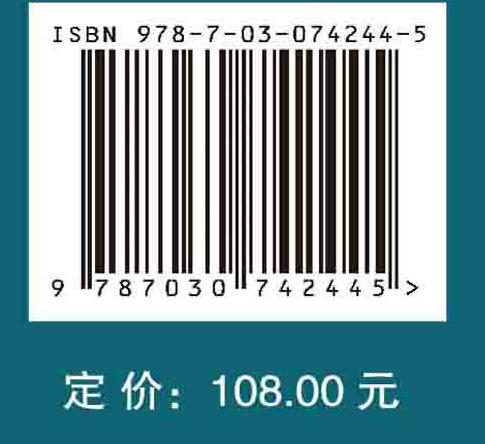 平面交叉口交通运行秩序评价与模拟 商品图2