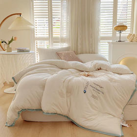 低至89元！换季不知道被子怎么选？选这款就对啦！抗菌大豆纤维被，性价比首选！