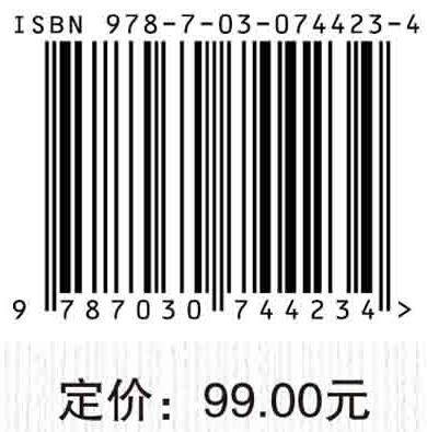 学前教育信息化——基于发展适宜性的视角 商品图2