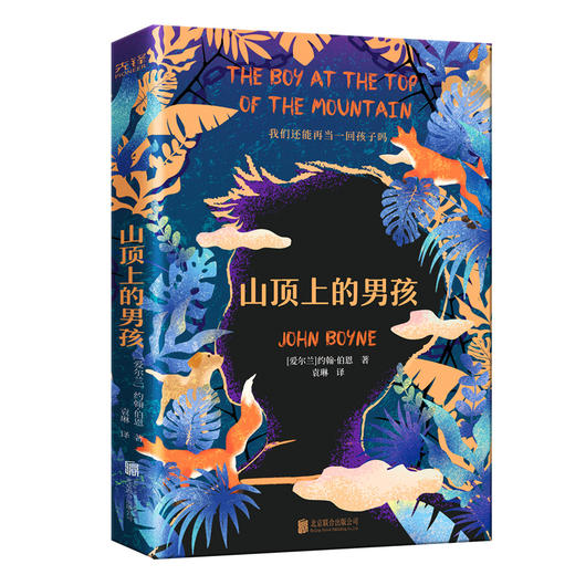 山顶上的男孩 商品图0