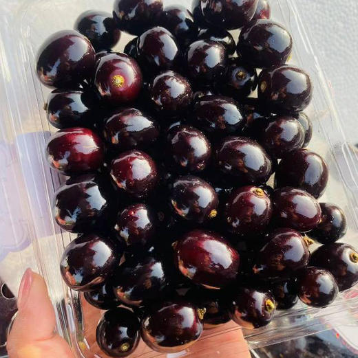 嘉宝果（蛟龙果），传说中的土豪之果，一果四味味道独特，集合了好几种水果的味道，营养价值极高，有丰富的蛋白质和维生素及各种微量元素，一盒450克，一组两盒 商品图1