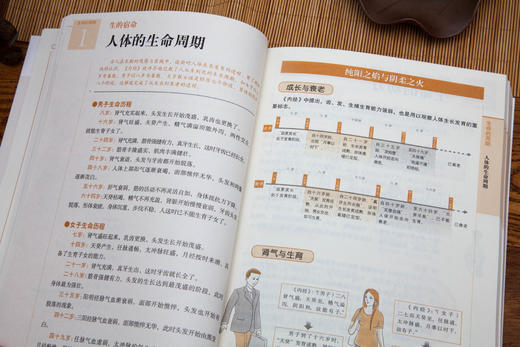 白话版：图解黄帝内经 商品图4