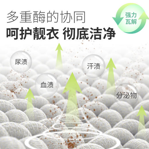 【拍一发十】Pote柏缇内衣裤清洗液 植物萃取专利温和配方 多重复合酶+氨基酸小分子 清洁去污去血渍 衣物洗完依旧如新 商品图5
