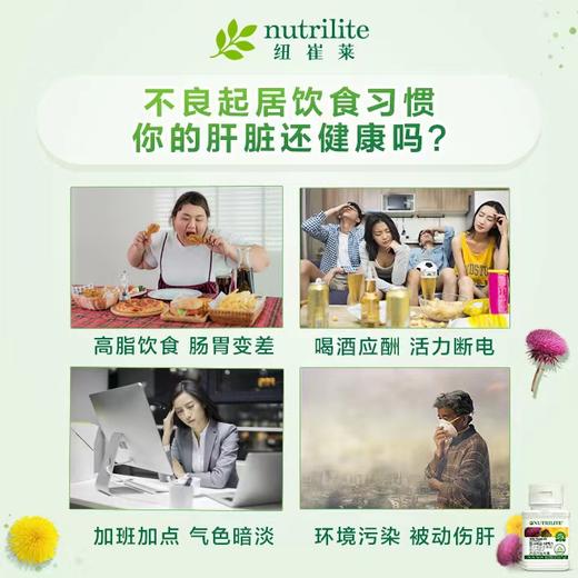 NCL奶蓟草片 商品图2