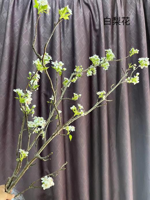 【春枝花】梨花  白色  约2枝/扎 商品图9