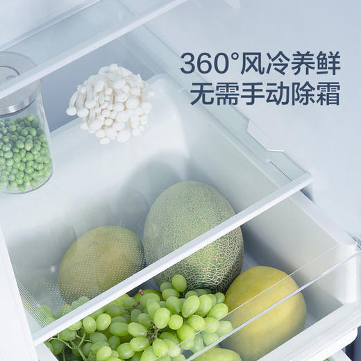 GREE 格力 晶弘 600升 对开门冰箱 智能全变频 风冷无霜 -33℃深冻 一级能效 离子净味 BCD-600WPDCZ/星韵紫 商品图6