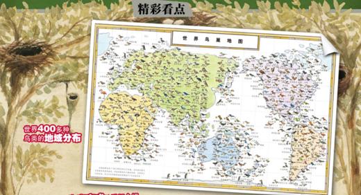 《世界鸟巢图鉴》科学与艺术的完美结合 知识与心灵的和谐统一  适读年龄 6-12岁 商品图1