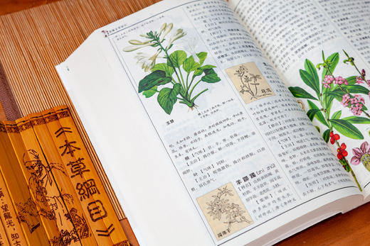 白话版：图解本草纲目 商品图9