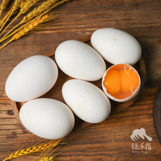 生态鹅蛋 | 合作生产*Eco- oose egg | Coproductiong 商品图0