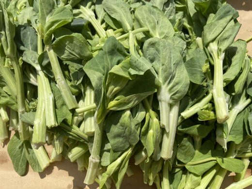 社区团购【小菜园露天种植】菜苔500g 商品图2