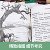 中国儿童文学经典赏读书系全套JST汪曾祺朱自清张天翼鲁迅萧红严文井丰子恺经典作品集小学生现代诗适合三四五六年级必读的课外书 商品缩略图3