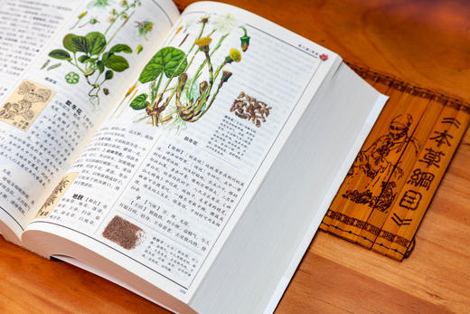 白话版：图解本草纲目 商品图7