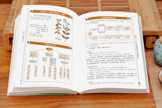 白话版：图解伤寒论   张仲景著 商品图8