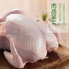 【牧族】 无抗生鲜老母鸡 202项指标零检 无抗健康老母鸡 无抗煲汤老母鸡现宰直发去内脏净鸡1100g-1300g左右/只 商品缩略图3